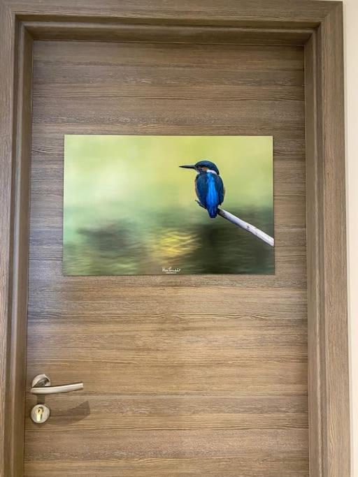Le Martin Pecheur - Appartement Gérardmer Exteriér fotografie